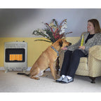 Mr. Heater 10,000 BTU Vent Radiant Natural Gas Heater