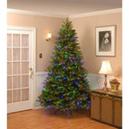 7.5 ft. Downswept Douglas Fir Artificial Christmas Tree with Dual Color LED Lights