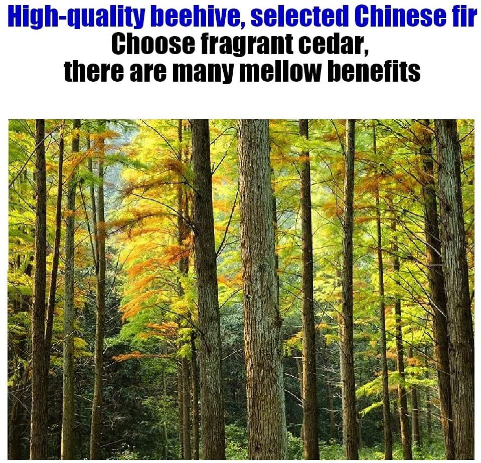 beehive, wood complete honey bee hives kit, w/10 finished nest frame, easy to install for beekeeping, beekeeping supplies equipment tool (color : primary color, size : 10 frame)