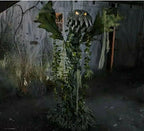 6 ft Animated LED Man-Eating Plant Halloween Animatronic Decoration